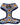 Blue and white striped sunflower dog harness