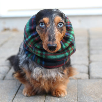 Blue, Green, and Red Plaid Dog Snood Scarf