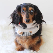 Load image into Gallery viewer, Dachshund Snood Scarf