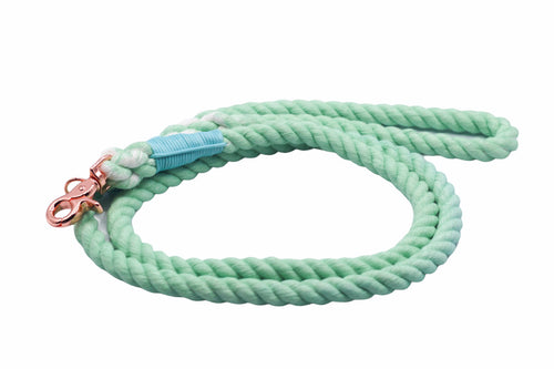Green Dog Rope Leash