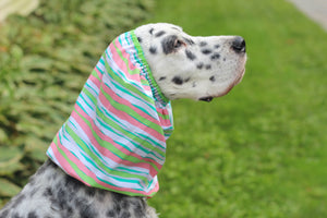 Pink, Green, White, and Blue Striped Snood