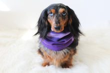 Load image into Gallery viewer, Magenta Dog Snood Scarf