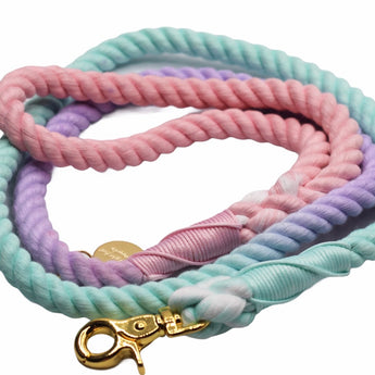 Ombre Dog Rope Leash